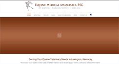 Desktop Screenshot of eqmedical.com